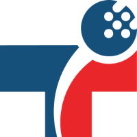 Technoidentity logo